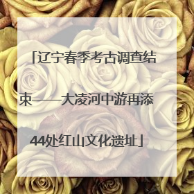 辽宁春季考古调查结束——大凌河中游再添44处红山文化遗址